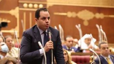 أحمد فوزي يطالب باستراتيجية للاستفادة من فائض الكهرباء في دعم الصناعة