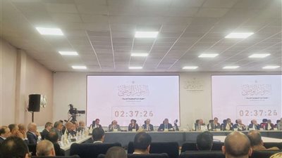 برلمانية: إنشاء مجمعات متكاملة تظهر هوية مصر
