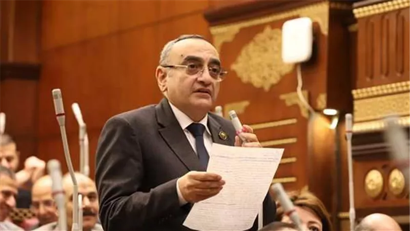 النائب حاتم حشمت يشيد بجهود الحكومة في حل أزمة الكهرباء