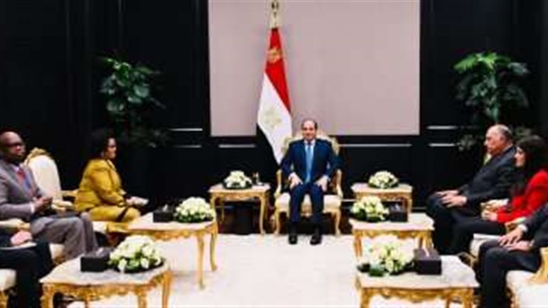 الرئيس السيسي خلال