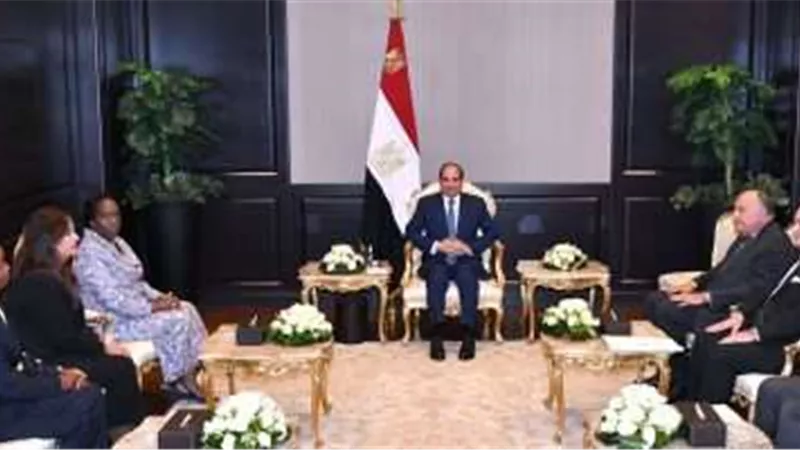 الرئيس السيسي يستقبل سكرتير عام منظمة الكوميسا
