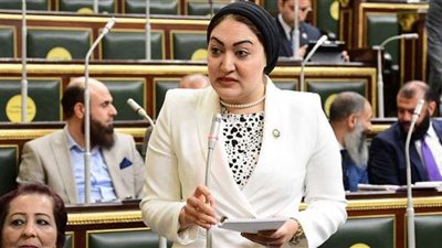 برلمانية: كلمة الرئيس في اجتماعات «الإفريقي للتنمية» بمثابة روشتة للقارة السمراء