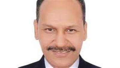 عماد نجيب: الحوار الوطني صنع حالة متفردة من الحراك السياسي