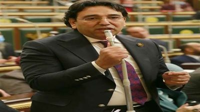 برلماني: انخفاض معدل التضخم مؤشر جيد يدل على الاستقرار الاقتصادي