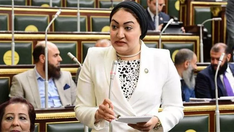 برلمانية: كلمة الرئيس في اجتماعات «الإفريقي للتنمية» بمثابة روشتة للقارة السمراء