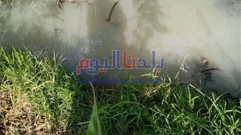 رى المنوفية تواصل خطة تطهير الطرق بأشمون