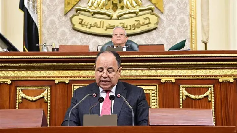 معيط أمام النواب: الزيادات كلفت الدولة 270 مليار جنيه