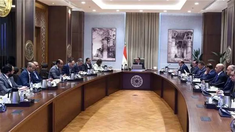 مدبولي يستعرض ملامح المقترح المقدم من المستثمرين بالخارج