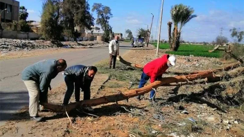 سقوط 10 أشجار بسبب الطقس السيئ بقها