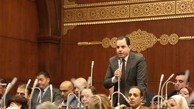 النائب أحمد فوزي: تأسيس مجلس أعلى للتعليم والتدريب خطوة مهمة لتطوير المنظومة التعليمية