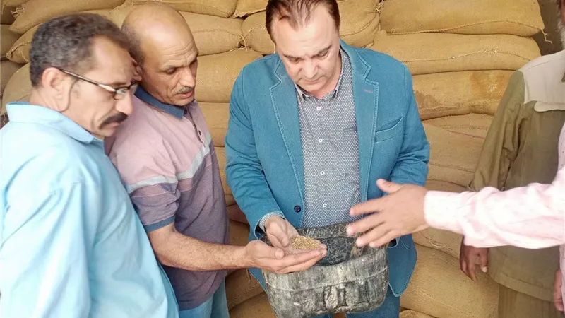 ضبط 42 طنًا من محصول القمح بهدف الاحتكار  بسمالوط في المنيا