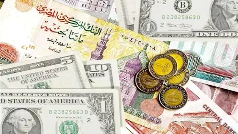 أسعار العملات العربية اليوم الثلاثاء 30 - 5 - 2023