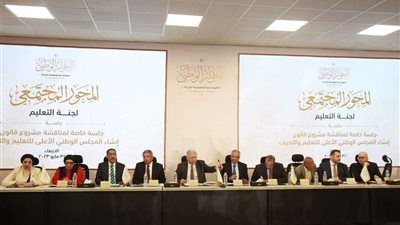 برلمانية تقترح إضافة «القومي لذوي الإعاقة» في تشكيل «الأعلى للتعليم» بجانب نقابة المعلمين