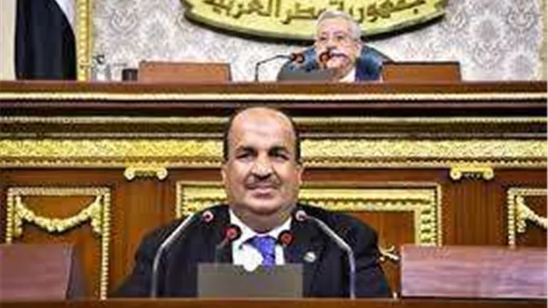 برلماني: لا يوجد محسوبية في عهد السيسي