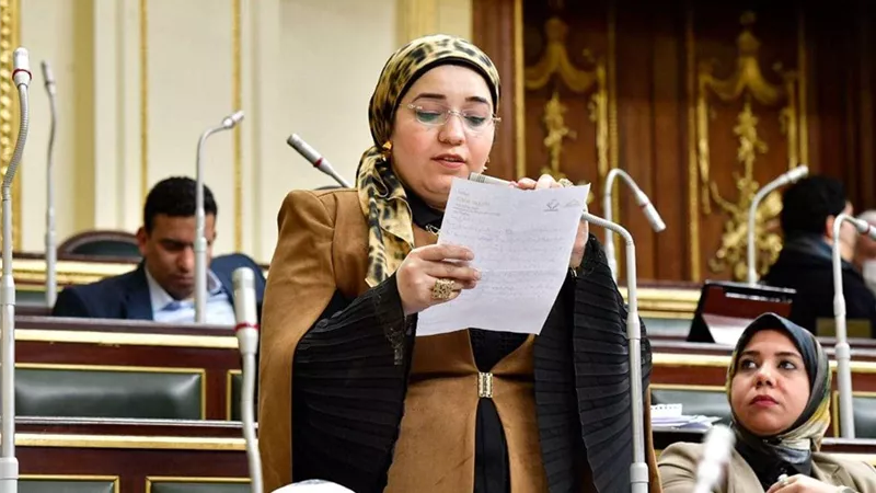 برلمانية:  الاتجار في النقد الأجنبي بالسوق السوداء يؤثر بالسلب على الاقتصاد