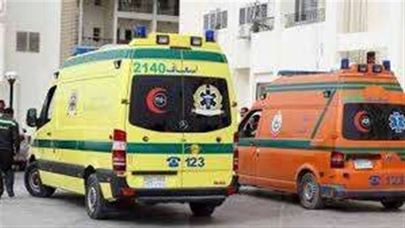 صوره ارشيفيه 