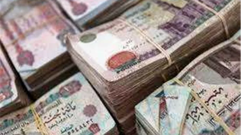 تجديد حبس متهمين بالنصب على المواطنين بالغربية