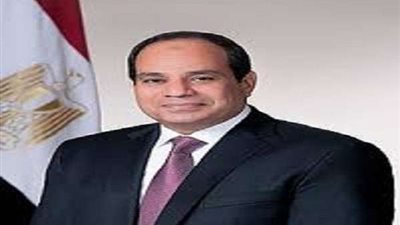 الرئيس السيسي يهنئ نظيره الصيني باحتفالات رأس السنة الصينية