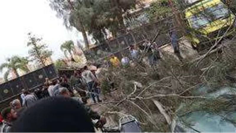مصرع مسن وإصابة نجلة إثر سقوط شجرة على منزلهم بالمنوفية