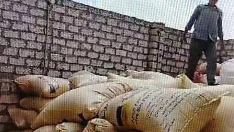 ضبط 33 طنًا و740 كيلو قمح محلي قبل تهريبه بالشرقية