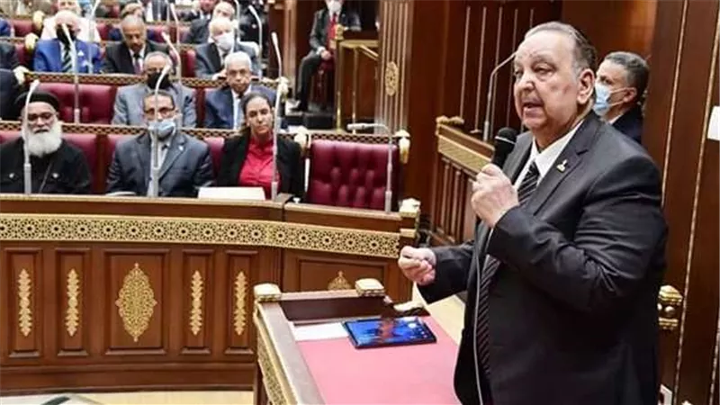 برلماني يطالب بإنشاء مكاتب للمحاماة الدولية للمحافظة علي المُصدر المصري