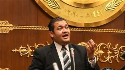 نائب التنسيقية: لا يوجد استراتيجية واضحة تسيطر على النمو السكاني
