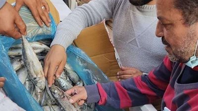 ضبط مصنع بسطرمة به لحوم غير صالحة للاستهلاك الآدمي بمنوف