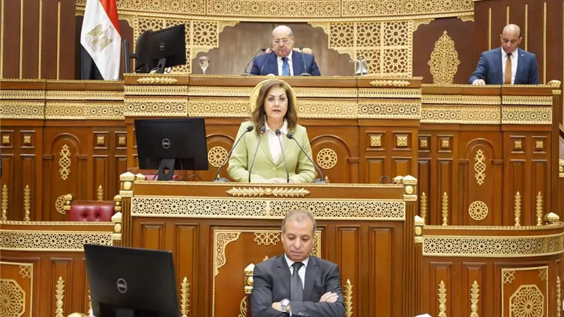بوجود وزيرتي التخطيط والتعاون.. أهم ما جاء بجلسة الشيوخ اليوم