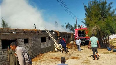 دون إصابات.. السيطرة علي حريق بحظائر ماشية في بني سويف