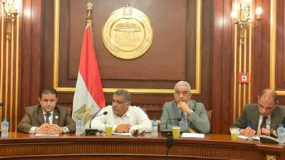 صناعة النواب: شراء القطن من الفلاح بالسعر العالمي يوفر 500 مليون دولار