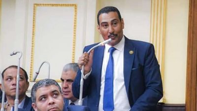 برلماني: قطاع البترول والثروة المعدنية حقق إنجازات ضخمة في عهد السيسي