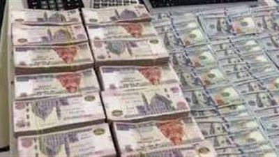 بعد نهبهما أموال المواطنين.. تجديد حبس سيدة وزوجها بتهمة النصب