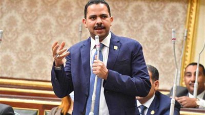 ممثل الأغلبية البرلمانية: نقدر انحياز الرئيس للفئات الأكثر احتياجا