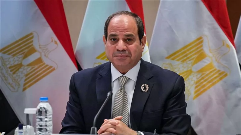 حزب المؤتمر: جولة السيسي الإفريقية تؤكد حرص مصر على دعم الأشقاء بالقارة