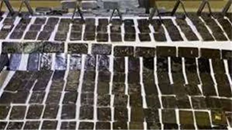 ضبط عاطل بحوزته 850 طربة حشيش بالإسماعيلية