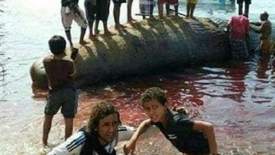 خير من عند الله.. صيادون يعثرون على كنز من بطن حوت