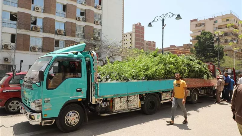 تعرف على خطط الاستثمارات فى المنوفية خلال 9 سنوات