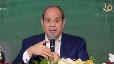الرئيس السيسي: 