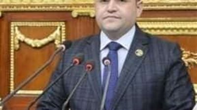 برلماني: رغم التحديات.. القيادة السياسية هيأت المناخ لنهوض قطاع الصناعة