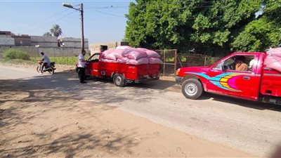 التحفظ على 5 طن قمح بحوزة سائق بالمنيا