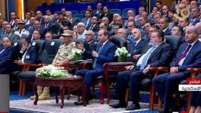 الرئيس السيسي: الدولة ليست أكل وشرب
