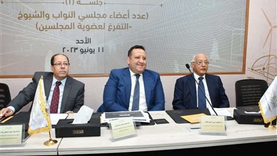 الحوار الوطني..أهالي سيناء: المحافظات الحدودية لا تعرف شئ عن ريادة الأعمال والتوعية بها ضرورة