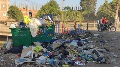 النواب تتوعد كل من يقوم بإلقاء القمامة في الشوراع.. فيديو