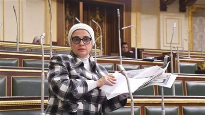النائبة سميرة الجزار تطالب بإعادة وزارة الإعلام