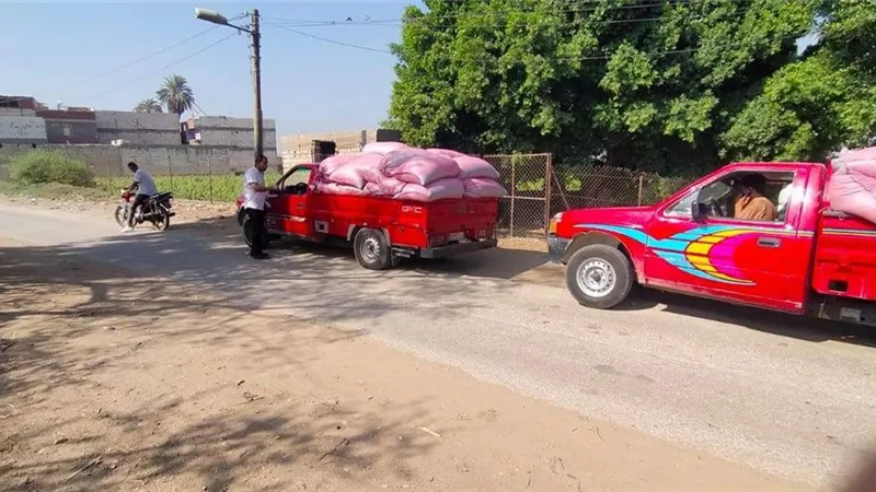 التحفظ على 5 طن قمح بحوزة سائق بالمنيا