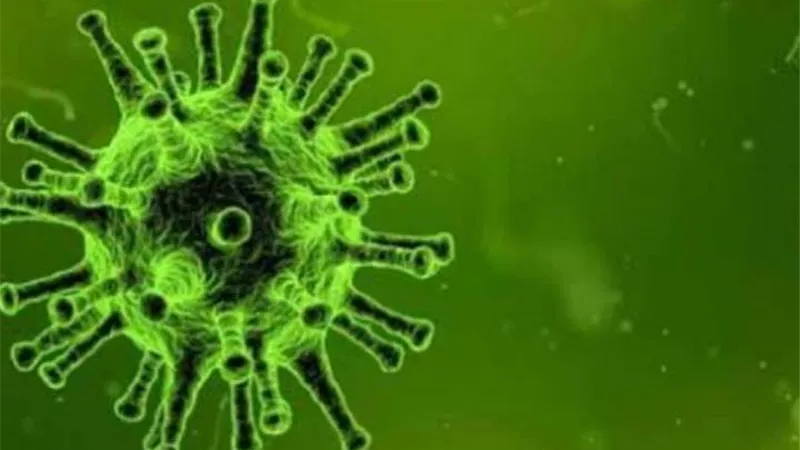 المكسيك تسجل 6561 إصابة و779 وفاة جديدة بكورونا وسط بطء في توزيع اللقاحات