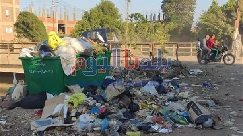 النواب تتوعد كل من يقوم بإلقاء القمامة في الشوراع.. فيديو