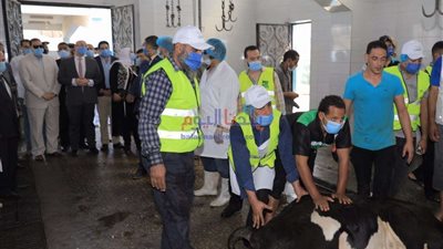 غرامة 10 آلاف جنيه.. محافظة القاهرة تحذر من هذا الأمر في عيد الأضحى