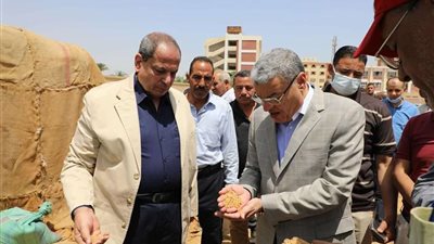 محافظ المنيا يتابع عملية استلام محصول القمح