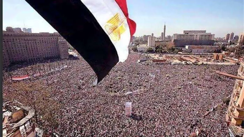 علي عبدالمحسن: الإجراءات الاستباقية بعد ثورة 30 يونيو قللت تداعيات الأزمات العالمية على قطاع الزراعة